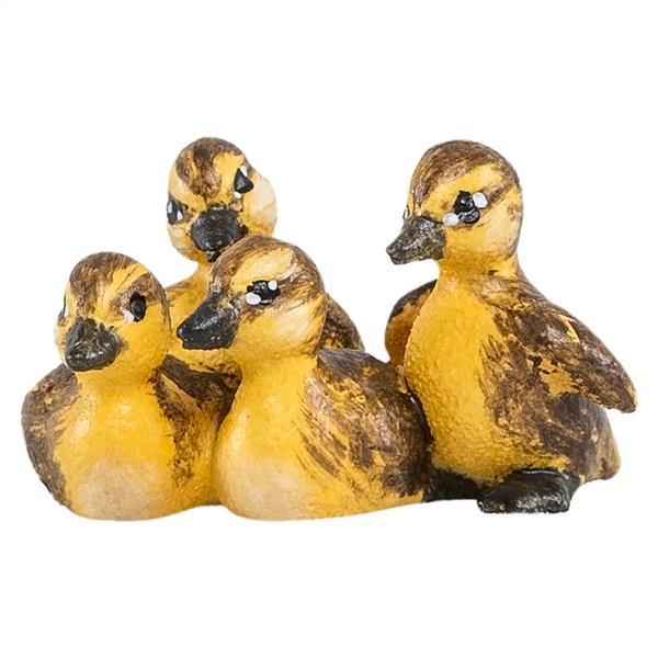 Entenküken Entenküken