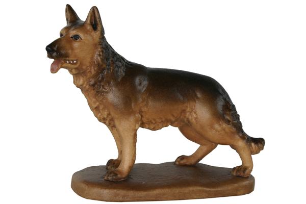 Hund stehend