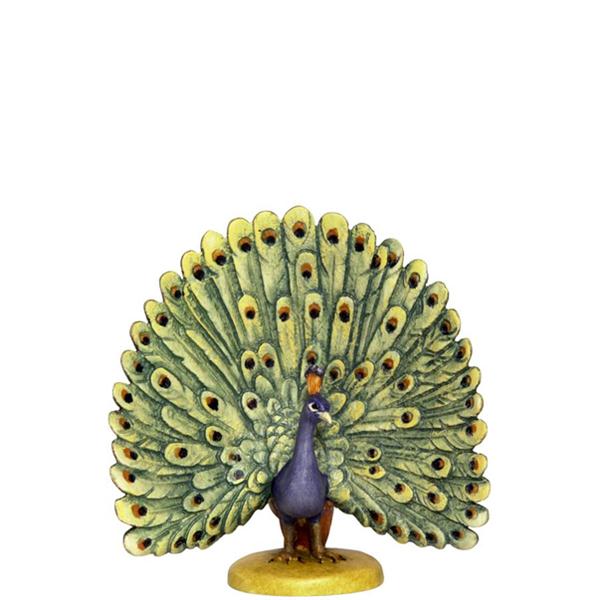 Pfau - Rad schlagend