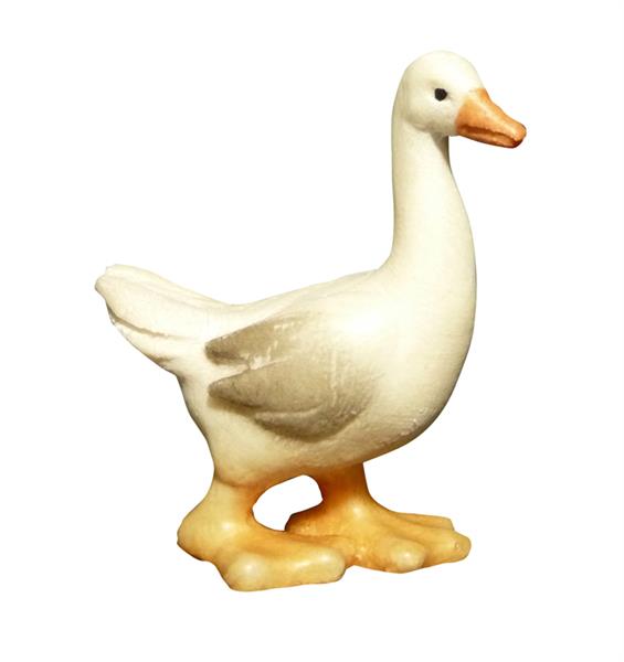 Gans