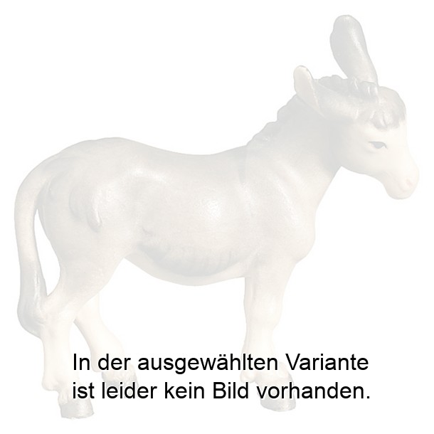 Esel stehend