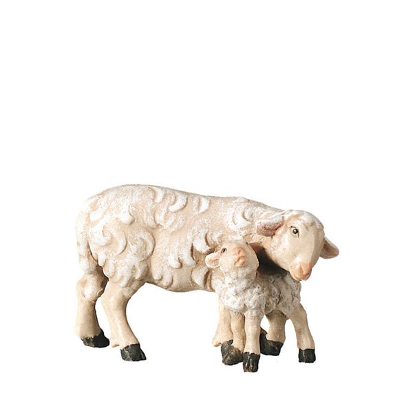 Schaf mit Lamm stehend Schaf mit Lamm stehend