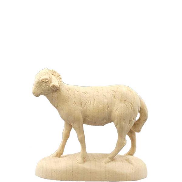 Schafbock