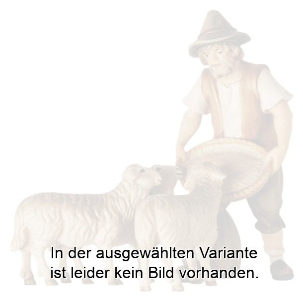 Schaffütterer mit drei Schafen Schaffütterer mit drei Schafen