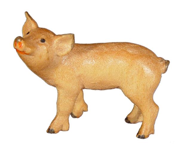 Ferkel Ferkel