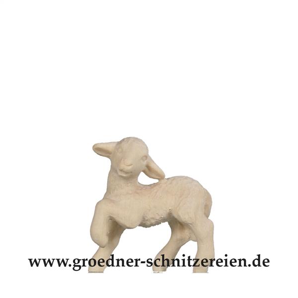 Lamm - Pfote hoch Lamm - Pfote hoch