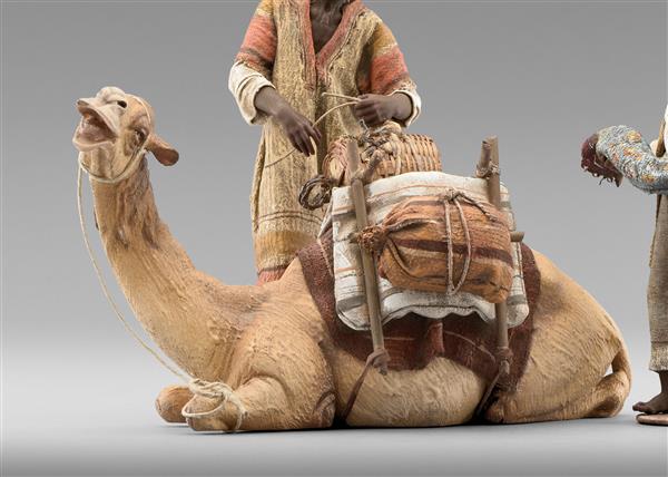 Dromedar liegend für Beduine Dromedar liegend für Beduine