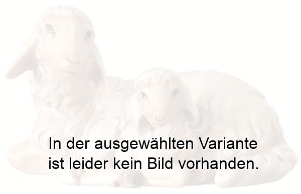 Schafgruppe liegend