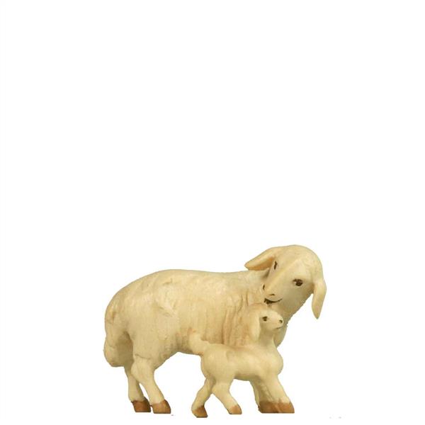 Schaf mit Lamm Schaf mit Lamm