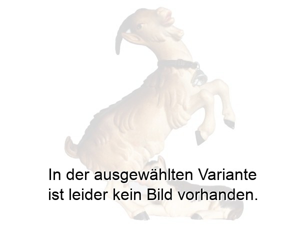 Ziege mit Kitz Ziege mit Kitz