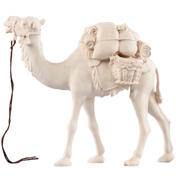 Kamel mit Gepäck Kamel mit Gepäck