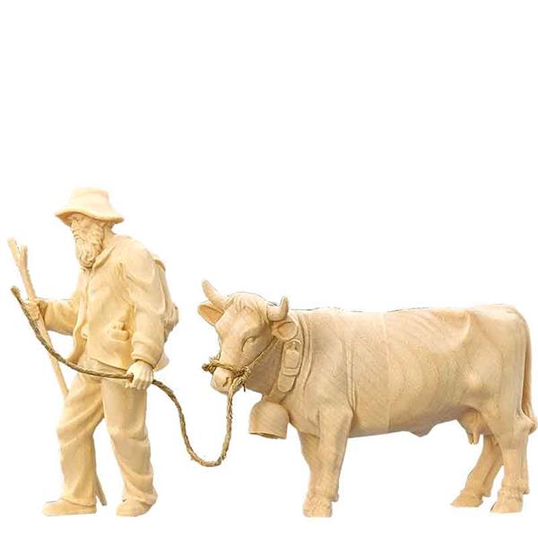 Almabtrieb Bauer mit Kuh schwarz-weiß fleckig