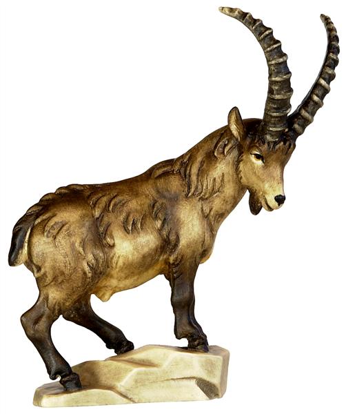 Steinbock auf Fels Steinbock auf Fels