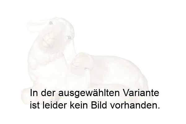 Schaf liegend mit Lamm schlafend Schaf liegend mit Lamm schlafend