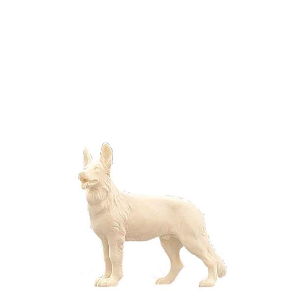 Schäferhund Schäferhund