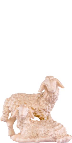 Lammgruppe Lammgruppe