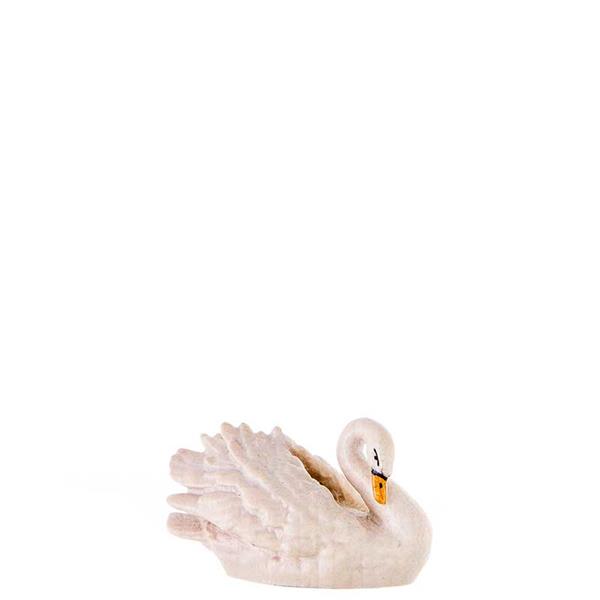 Schwan