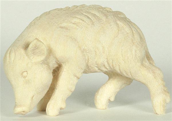 Wildschweinjunge Kopf unten Wildschweinjunge Kopf unten