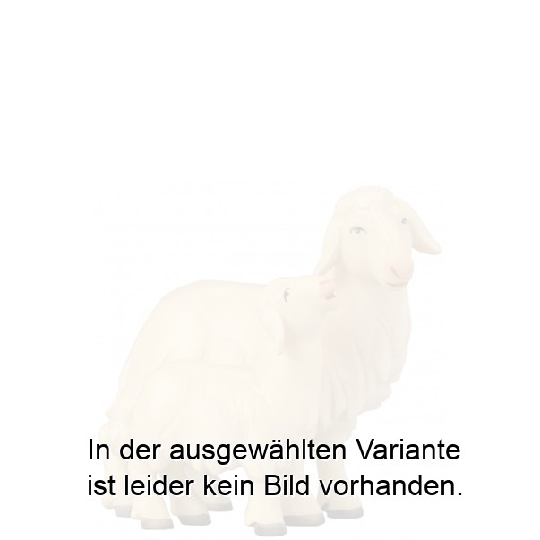 Schaf mit Lamm Schaf mit Lamm