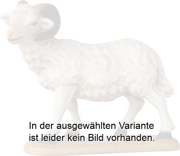 Schafbock Schafbock
