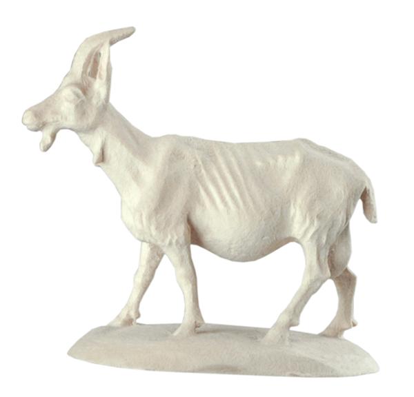 Ziege Ziege