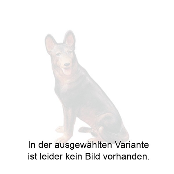 Sitzender Schäferhund Sitzender Schäferhund
