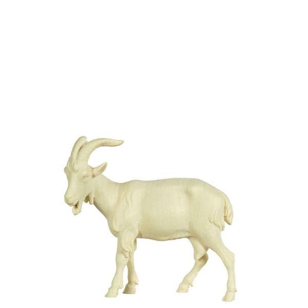 Ziege - Kopf nach links Ziege - Kopf nach links