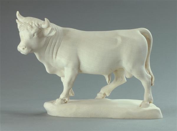 Ochs stehend