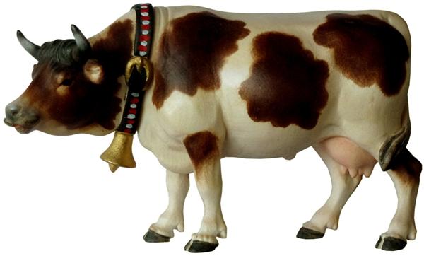 Kuh mit Kopf nach vorne