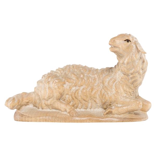 Schaf liegend Schaf liegend