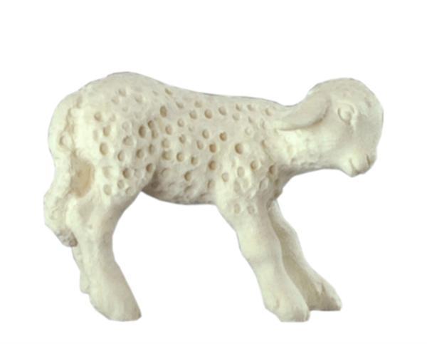 Lamm stehend Lamm stehend