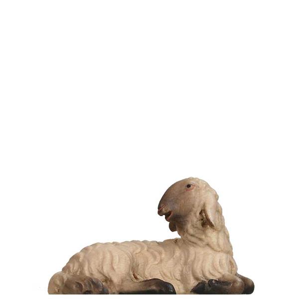 Schaf liegend SCHWARZ-WEIß Schaf liegend SCHWARZ-WEIß