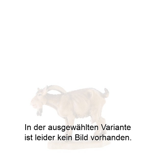 Ziege mit gesenktem Kopf Ziege mit gesenktem Kopf