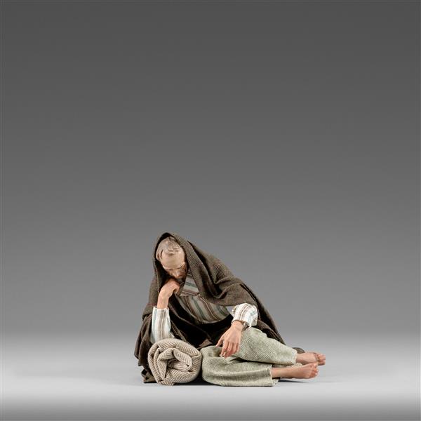 Hirt schlafend Hirt schlafend