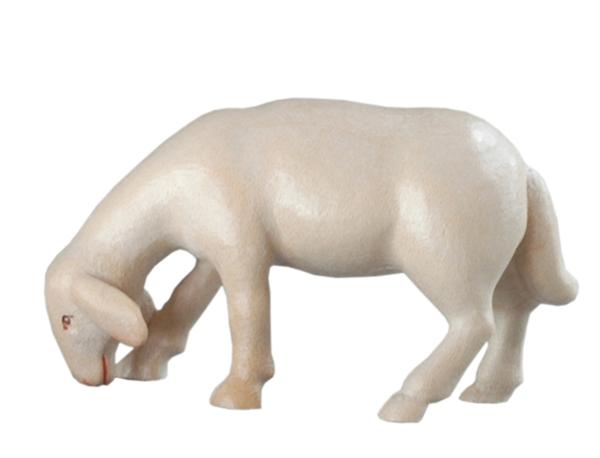 Schaf grasend 'M' Schaf grasend 'M'