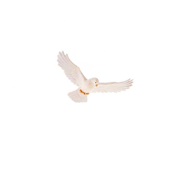 Taube mit Flügel waagrecht