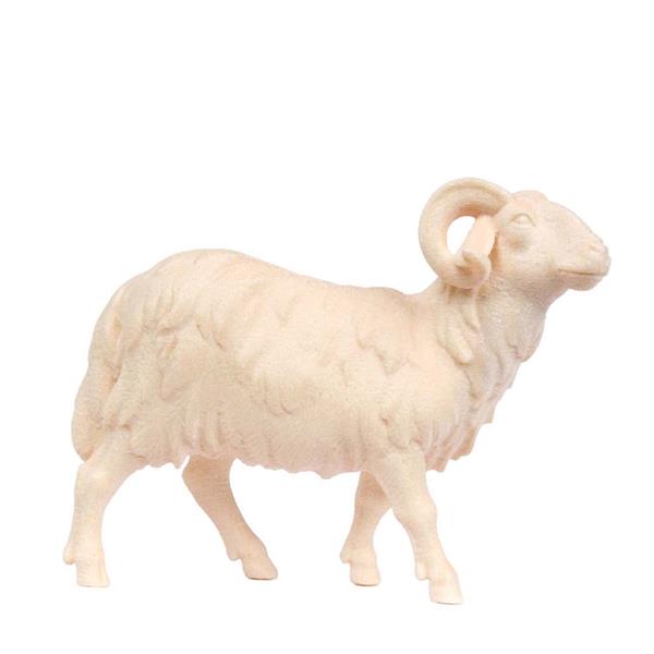 Schafbock