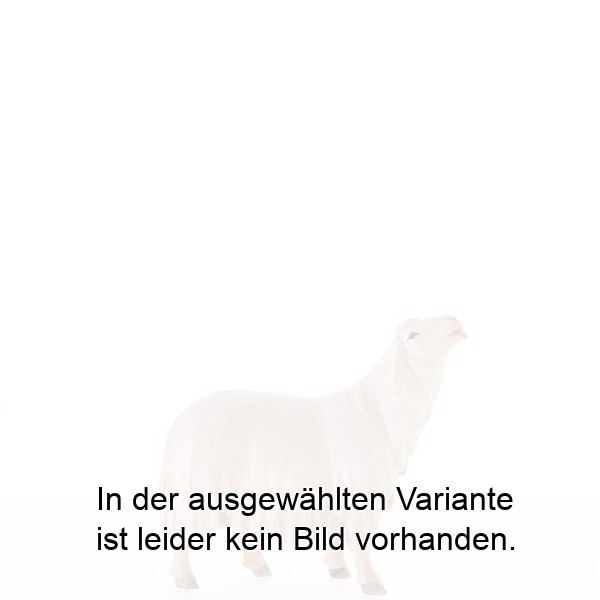 Leckendes Schaf