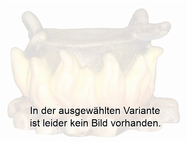 Lagerfeuer Lagerfeuer