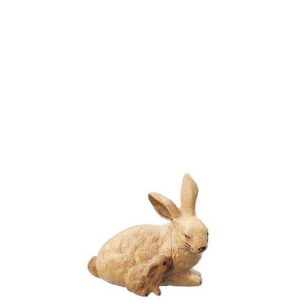 Hase