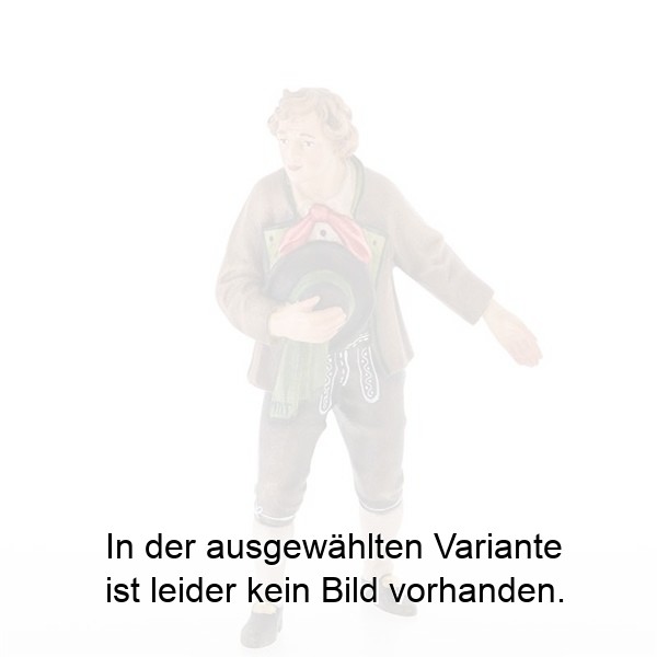 Hochzeitspaar - Bräutigam Hochzeitspaar - Bräutigam