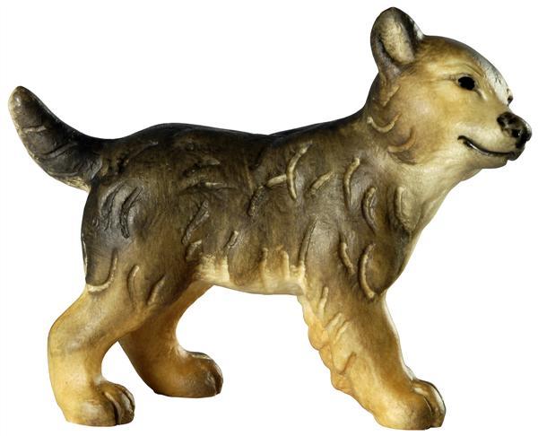 Wolfswelpe - Kopf nach rechts Wolfswelpe - Kopf nach rechts