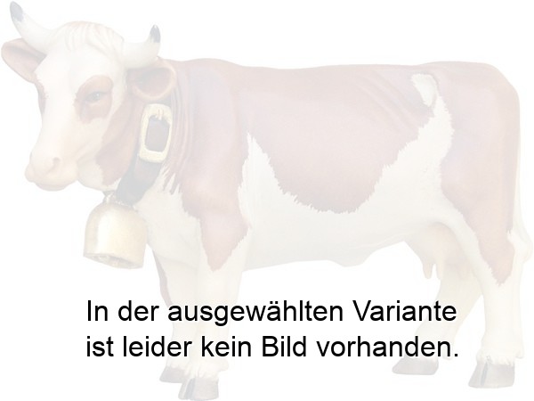 Kuh braun-weiß (passend zu Bauer 018-08BA)