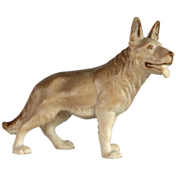 Hund Schäferhund Hund Schäferhund