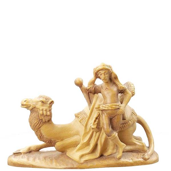 Kamel liegend mit Treiber Kamel liegend mit Treiber