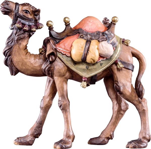 Kamel