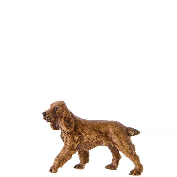 Cockerspaniel Cockerspaniel