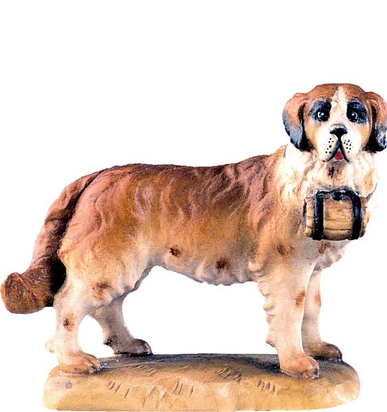 Bernhardiner Bernhardiner