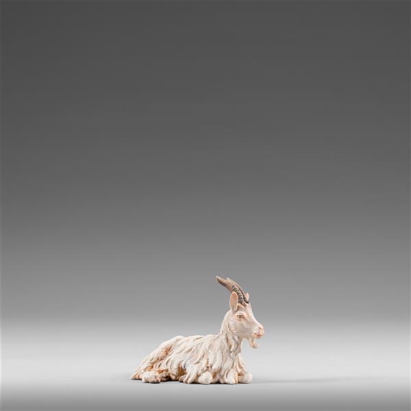 Ziege liegend Ziege liegend