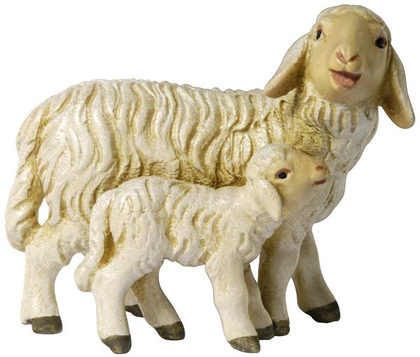 Schaf mit Lamm Schaf mit Lamm